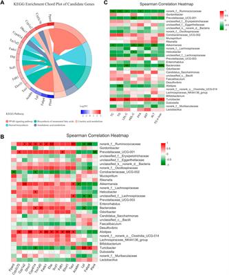 Effect of theaflavin-3,3′-digallate on leptin-deficient induced nonalcoholic fatty liver disease might be related to lipid metabolism regulated by the Fads1/PPARδ/Fabp4 axis and gut microbiota